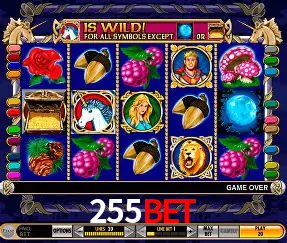 VIP Casino 255bet
